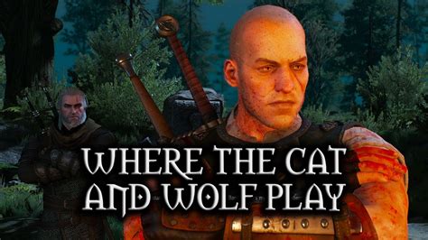 Where the Cat and Wolf Play .